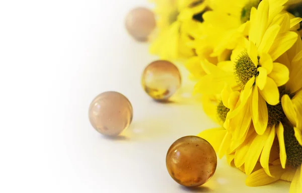 Gerbera dans un bouquet — Photo