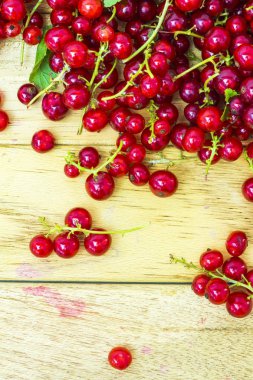 Frenk üzümü berry