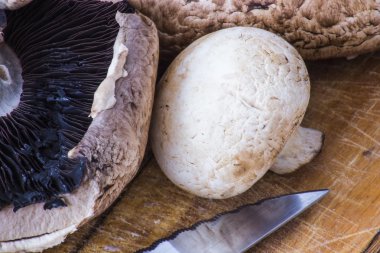 mutfak masasının üzerinde mantar