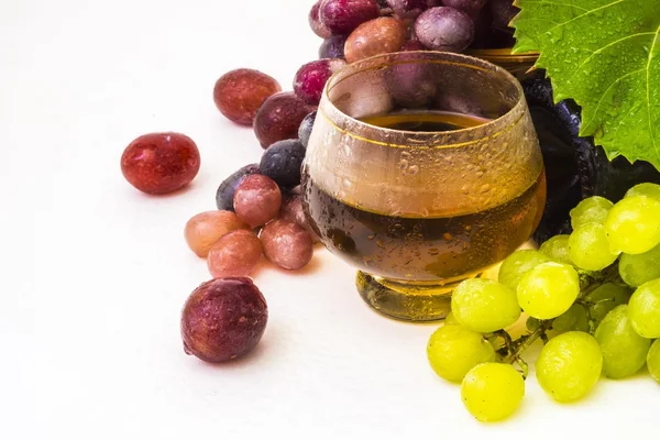 Wine and grapes — Stock Photo, Image