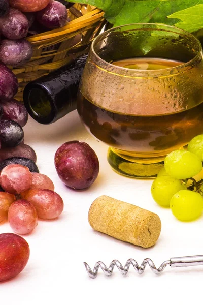 Вино и виноград — стоковое фото