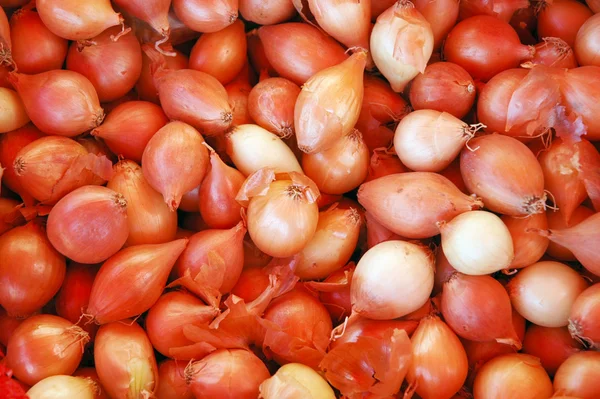 Red Onions — Stock Photo, Image