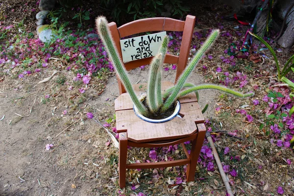 Joy chair — Stock Photo, Image