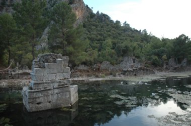 Olympus görüntüleme