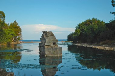 Olympus görüntüleme