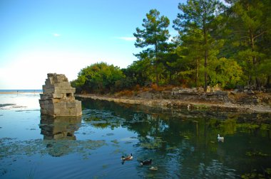 Olympus görüntüleme