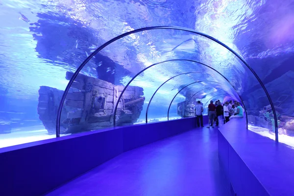 Aquarium Tunnel — Stock Photo, Image