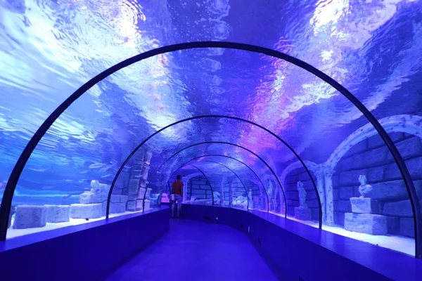 Aquarium Tunnel — Stock Photo, Image