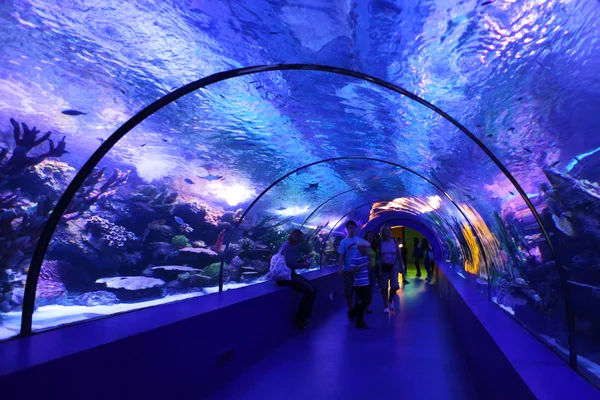 Aquarium Tunnel — Stock Photo, Image