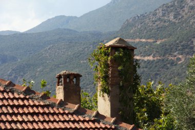 eski sarmaşık kaplı baca