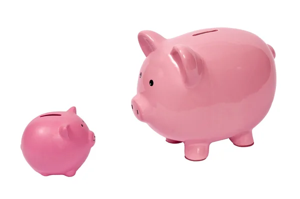 Big Pig Looking at Little Pig — Stock Photo, Image