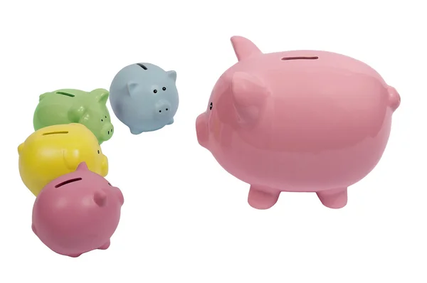 Big Piggy Talking To Little Piggies — Stock Photo, Image