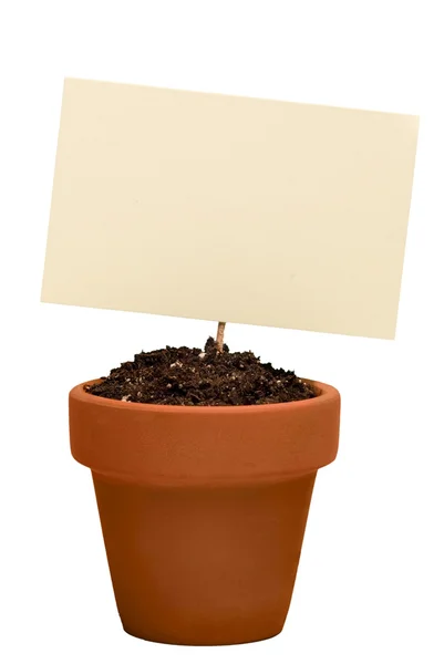 Sinal em branco em Little Flower Pot — Fotografia de Stock