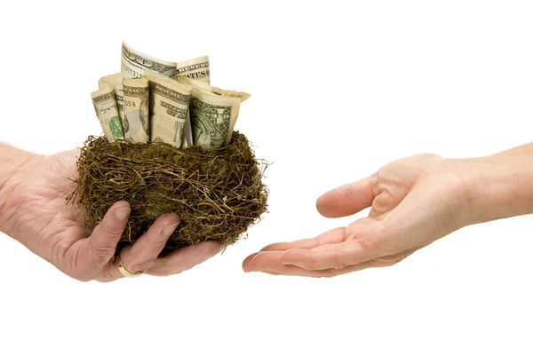 Losing Your Nest Egg Savings — Stock Photo, Image