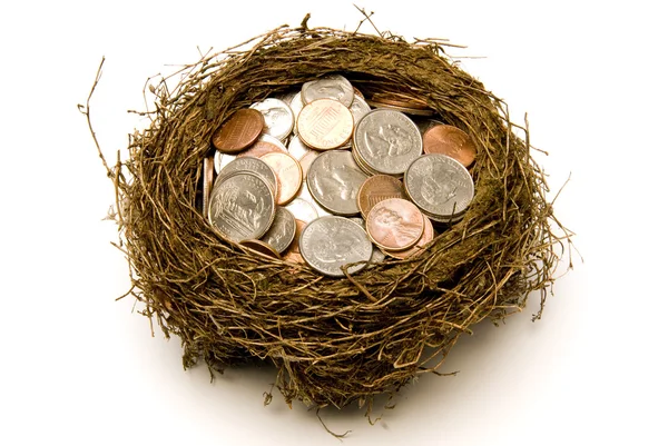 Nest vol geld voor besparingen — Stockfoto