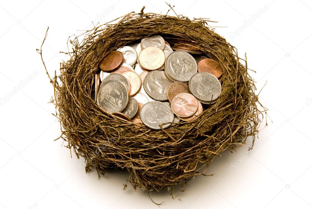 Nest Full of Money For Savings