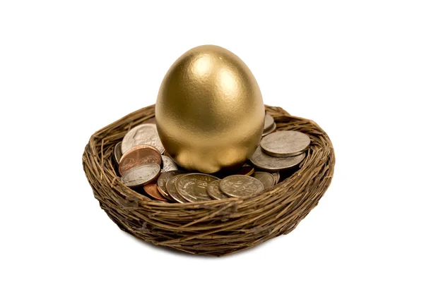 Golden Egg Standing Up In Nest Of Money — Stock Photo, Image