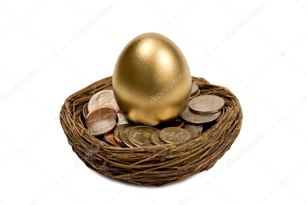 Golden Egg Standing Up In Nest Of Money