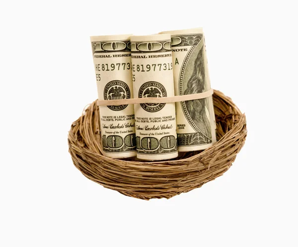 Rollos de dinero en el nido aislado en blanco — Foto de Stock