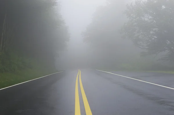 Estrada de enrolamento úmido desaparecendo no nevoeiro — Fotografia de Stock