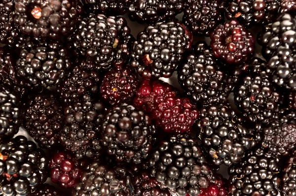 Piękny świeże blackberry wybrał tło — Zdjęcie stockowe