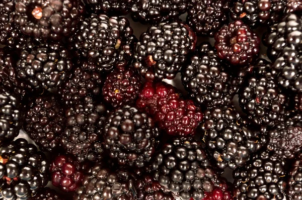 Schöne frisch gepflückte Brombeere Hintergrund — Stockfoto