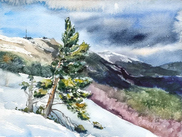 Montaña invierno paisaje con pino — Foto de Stock