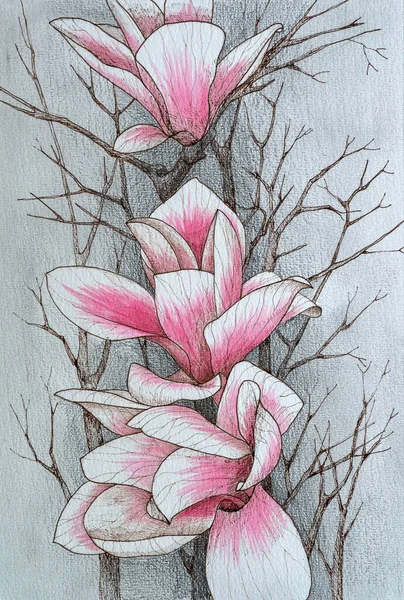 Magnólie kvete na větvi bez listí. Akvarel. Royalty Free Stock Obrázky
