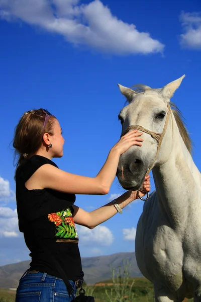 Veterinaria que controla la salud del caballo — Foto de Stock