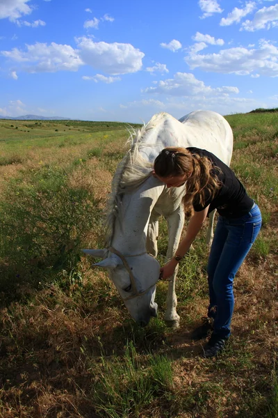 Ветеринарна жінка контролює здоров'я коней — стокове фото