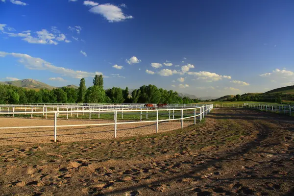 Horse training area — Stock Photo, Image