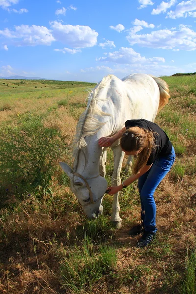 Veterinária mulher que controla a saúde dos cavalos — Fotografia de Stock