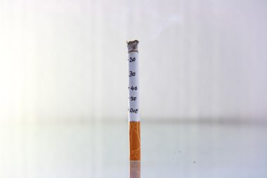 sigara yakma hayat kavramı