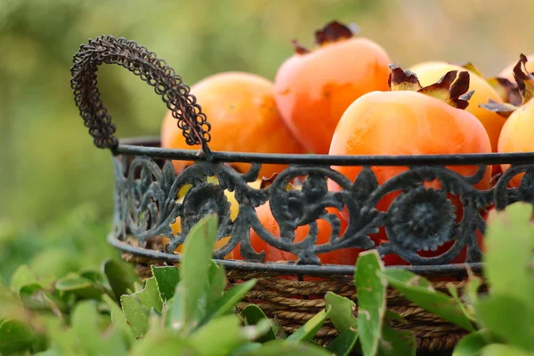 Persimmon in basket with green background — Stock Photo, Image