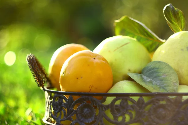 Persimmons and quinces in basket with green background — Stock Photo, Image