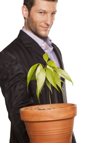 Homme tenant pot avec un arbre — Photo