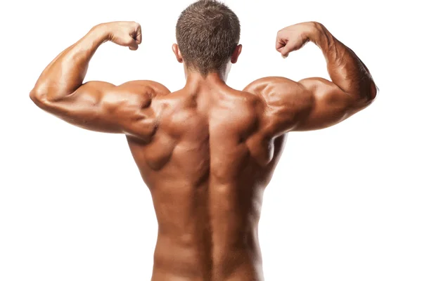 Muscular back Royalty Free Stock Images