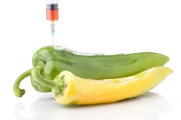 Concepto Gmo — Foto de Stock