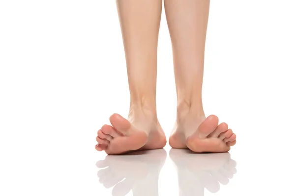 Front View Beautifully Cared Female Feet Toes White Background — Fotografia de Stock