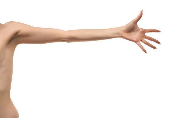 Χέρι Και Παλάμη Της Νεαρής Γυναίκας Απομονωμένα Λευκό Φόντο — Φωτογραφία Αρχείου