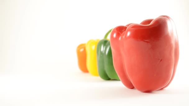 Peperoni rossi, verdi, gialli e arancioni contro il bianco - Disposizione della linea - Gru — Video Stock