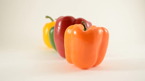 Orange, grön, röd och gul paprika mot vit - rad arrangemang - dollly vänster — Stockvideo