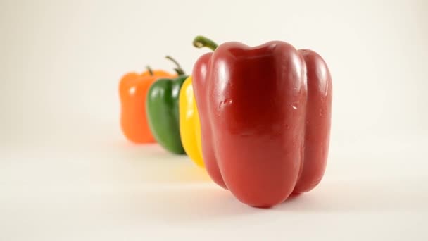 Rood, geel, groen en oranje paprika's tegen Wit - lijn arrangement - dolly juiste — Stockvideo