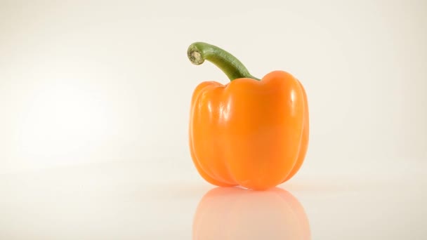 Poivre orange rotatif sur acrylique contre blanc - Dolly droite 