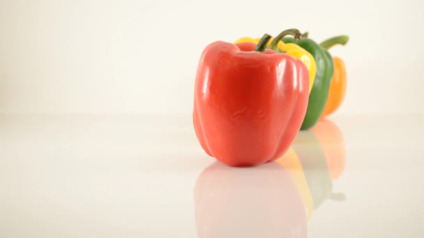 Red, Yellow, Green and Orange Peppers On Acrylic Against White - Line Arrangement - Dolly Left — Stock Video