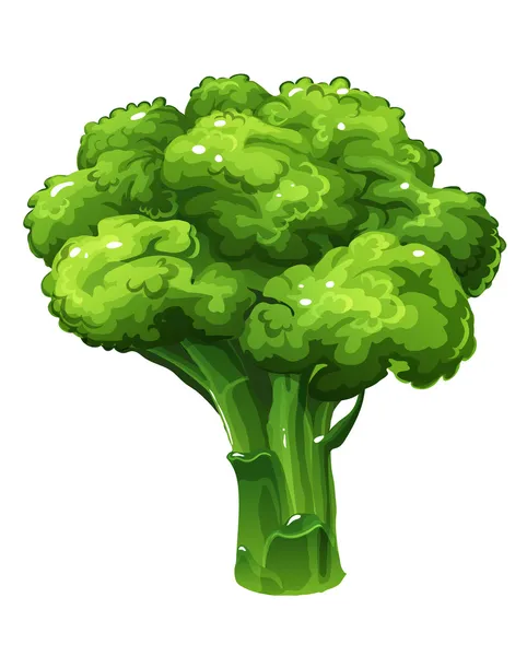 Brócoli. Ilustración vectorial — Archivo Imágenes Vectoriales
