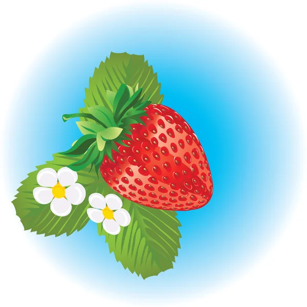 Frutilla — Vector de stock