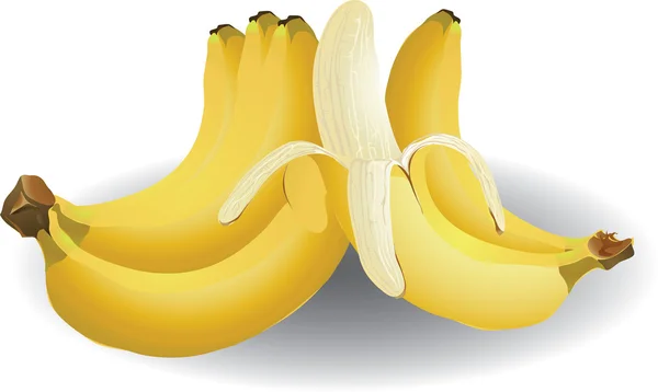 Bananas — Vetor de Stock