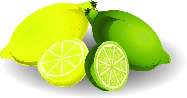 Lemon & lime — Stock Vector