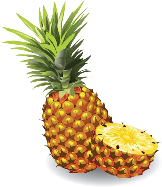 Ananas — Stockvektor